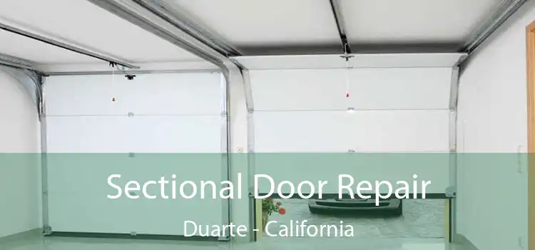 Sectional Door Repair Duarte - California