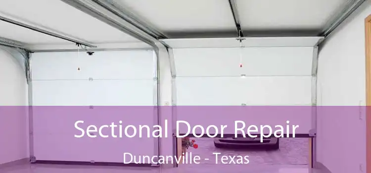 Sectional Door Repair Duncanville - Texas