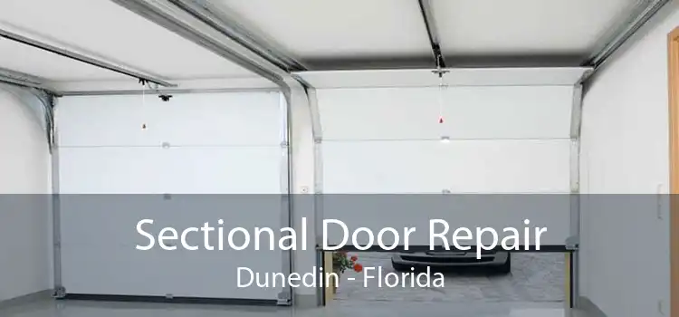 Sectional Door Repair Dunedin - Florida