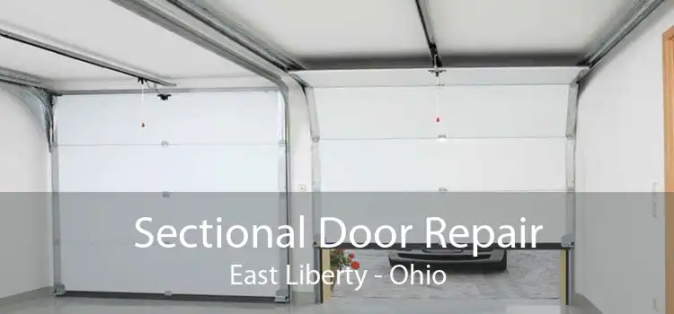 Sectional Door Repair East Liberty - Ohio