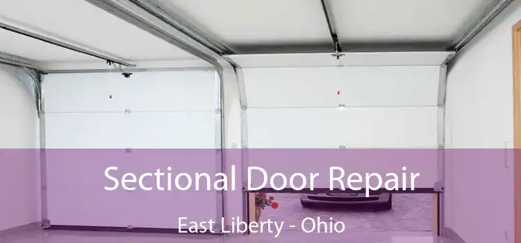 Sectional Door Repair East Liberty - Ohio