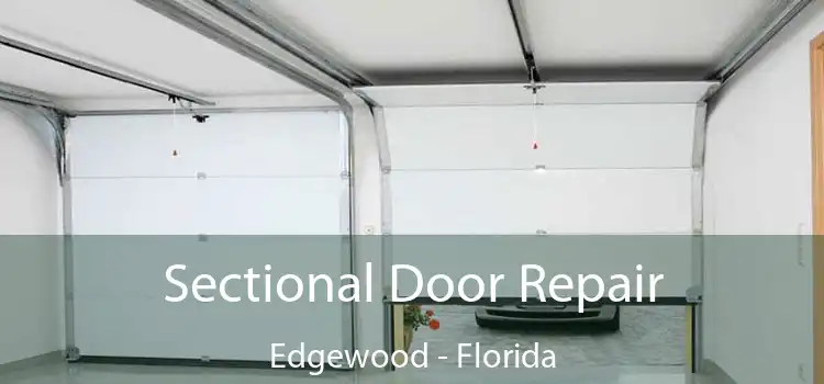 Sectional Door Repair Edgewood - Florida