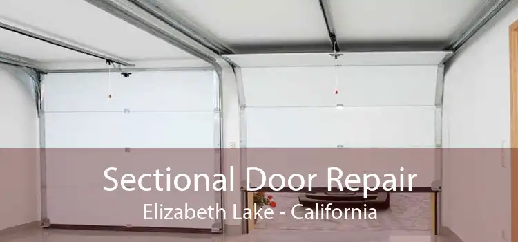 Sectional Door Repair Elizabeth Lake - California