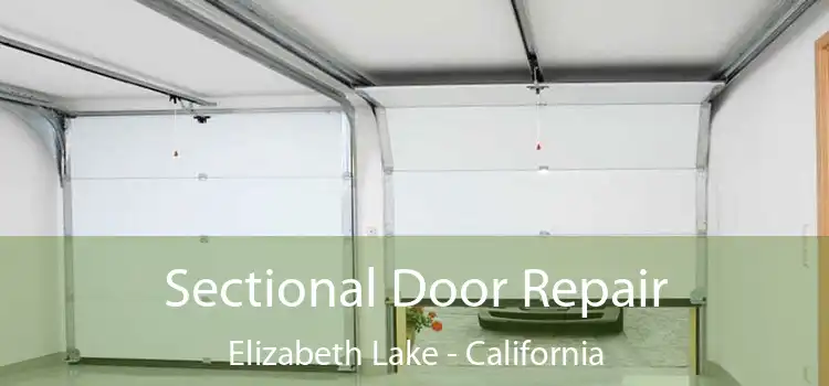 Sectional Door Repair Elizabeth Lake - California