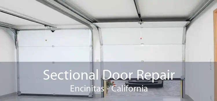 Sectional Door Repair Encinitas - California