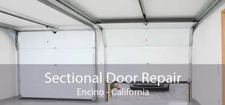 Sectional Door Repair Encino - California