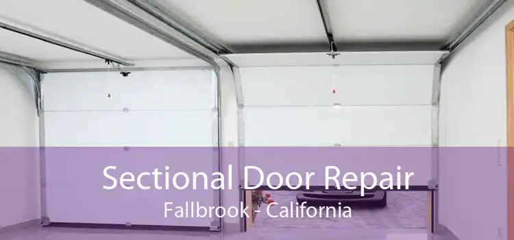 Sectional Door Repair Fallbrook - California