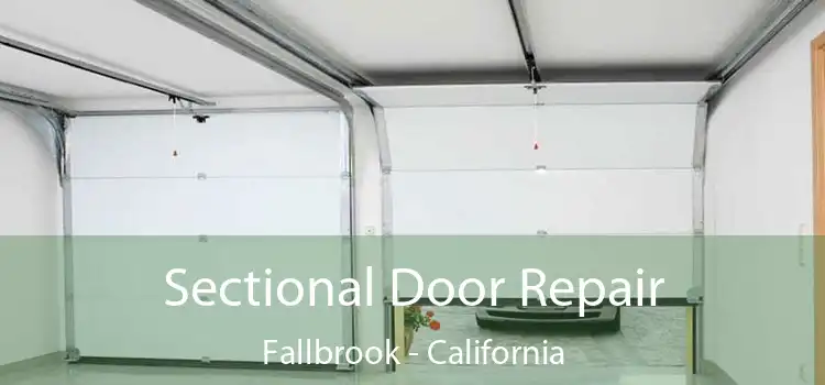 Sectional Door Repair Fallbrook - California