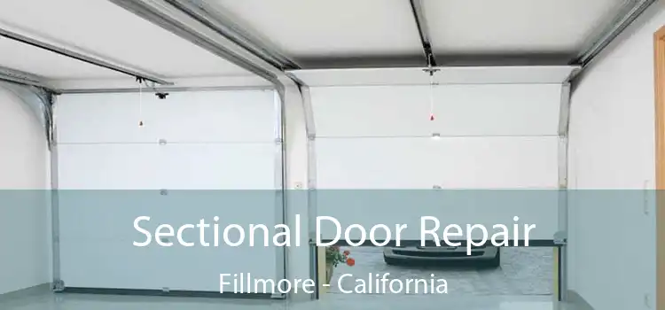 Sectional Door Repair Fillmore - California