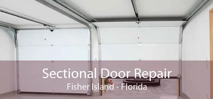 Sectional Door Repair Fisher Island - Florida