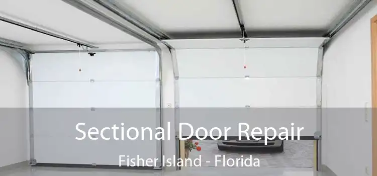 Sectional Door Repair Fisher Island - Florida