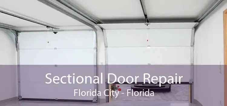 Sectional Door Repair Florida City - Florida