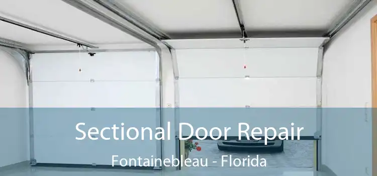 Sectional Door Repair Fontainebleau - Florida