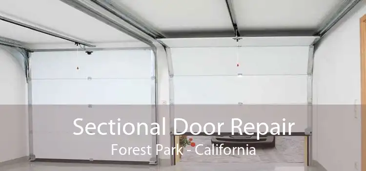 Sectional Door Repair Forest Park - California