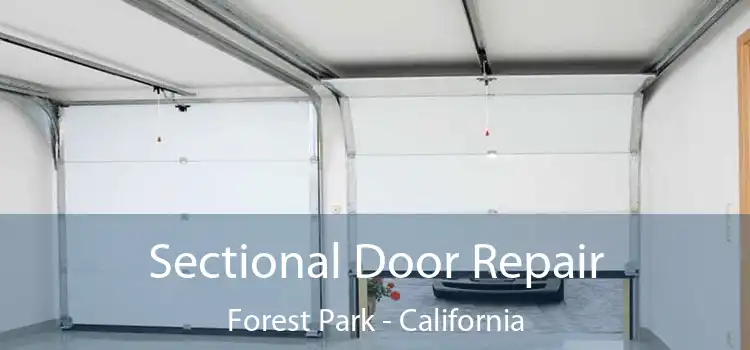 Sectional Door Repair Forest Park - California