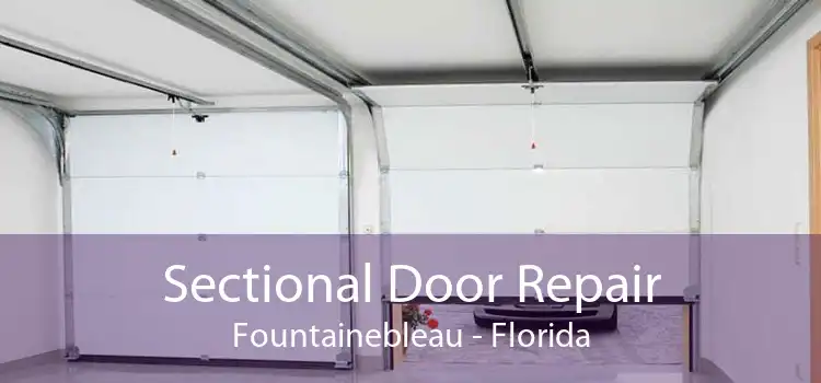Sectional Door Repair Fountainebleau - Florida
