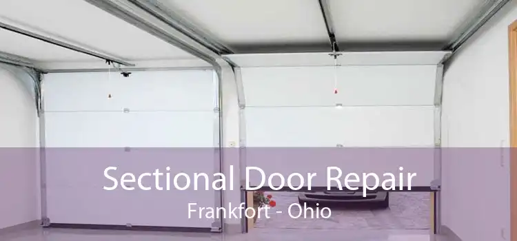 Sectional Door Repair Frankfort - Ohio