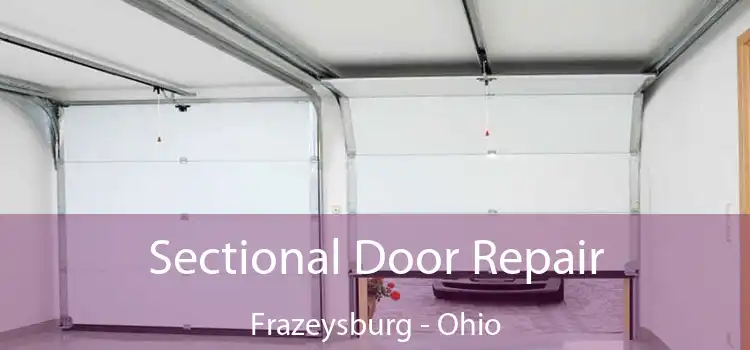 Sectional Door Repair Frazeysburg - Ohio