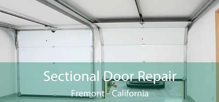 Sectional Door Repair Fremont - California