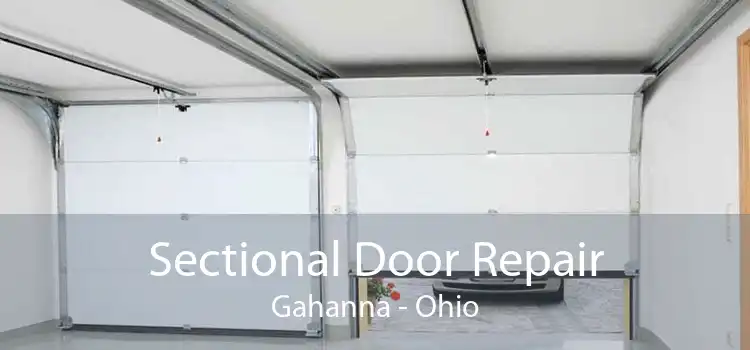 Sectional Door Repair Gahanna - Ohio