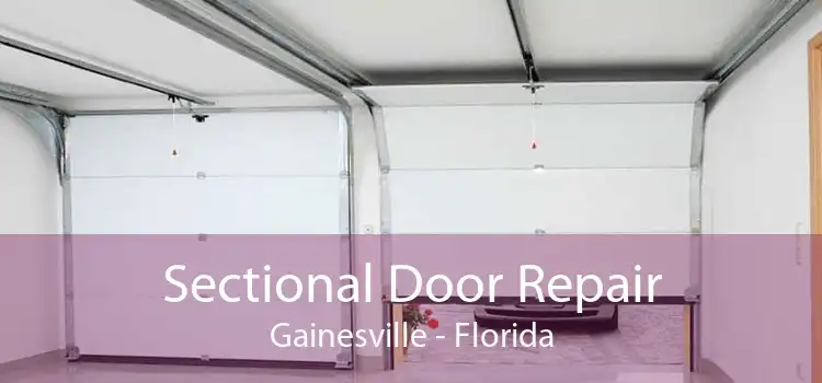 Sectional Door Repair Gainesville - Florida