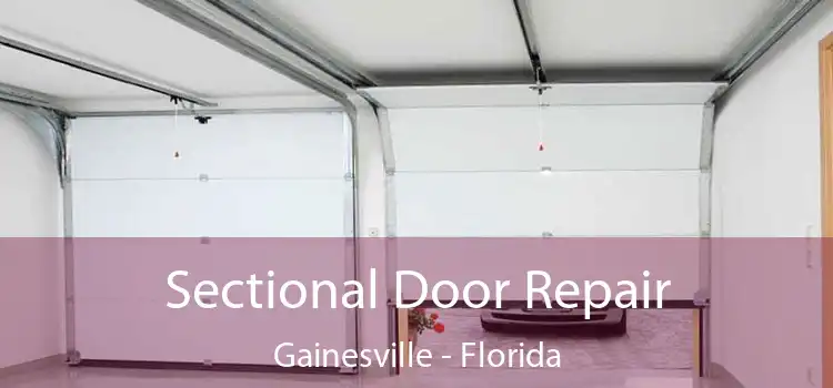 Sectional Door Repair Gainesville - Florida