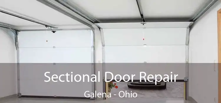 Sectional Door Repair Galena - Ohio