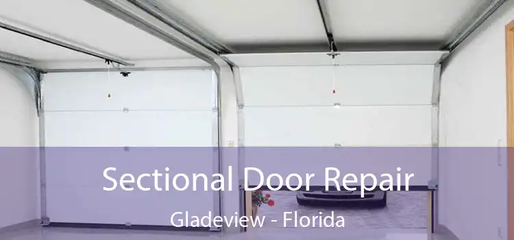 Sectional Door Repair Gladeview - Florida