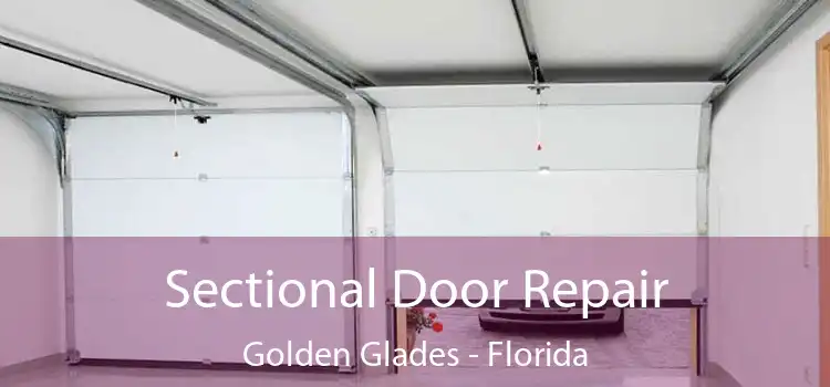 Sectional Door Repair Golden Glades - Florida