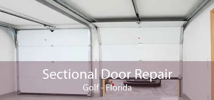 Sectional Door Repair Golf - Florida