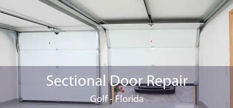 Sectional Door Repair Golf - Florida