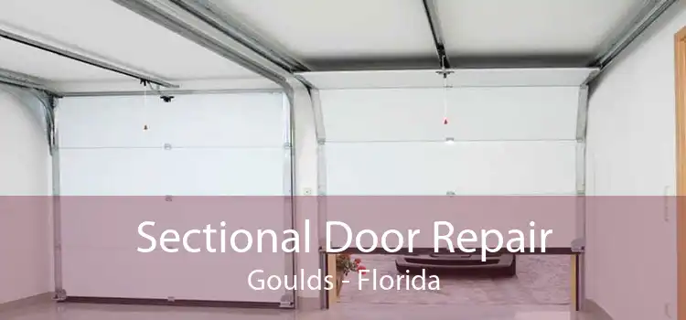Sectional Door Repair Goulds - Florida