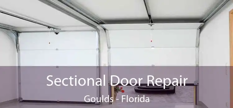 Sectional Door Repair Goulds - Florida