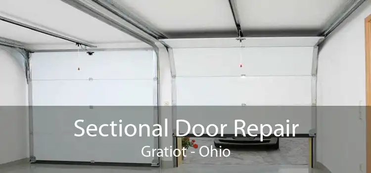 Sectional Door Repair Gratiot - Ohio