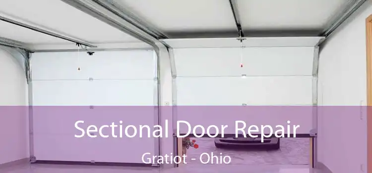 Sectional Door Repair Gratiot - Ohio