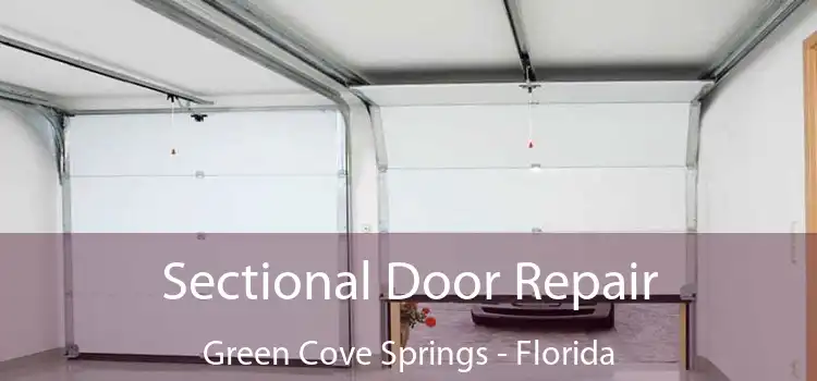 Sectional Door Repair Green Cove Springs - Florida