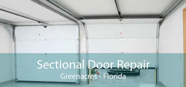 Sectional Door Repair Greenacres - Florida