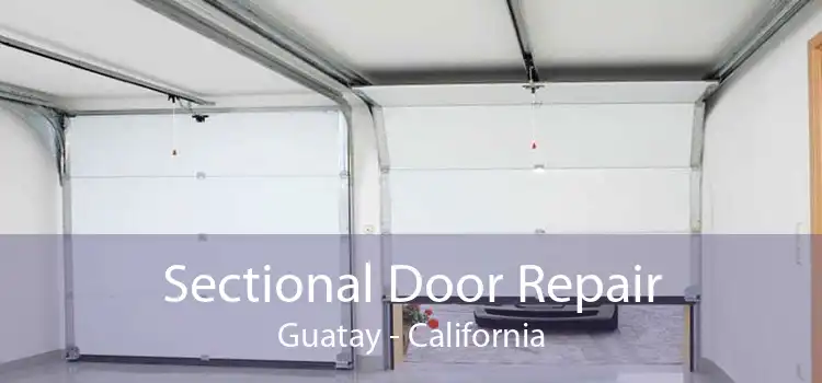 Sectional Door Repair Guatay - California
