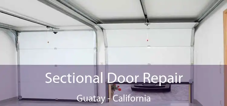 Sectional Door Repair Guatay - California