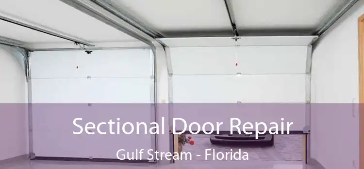 Sectional Door Repair Gulf Stream - Florida