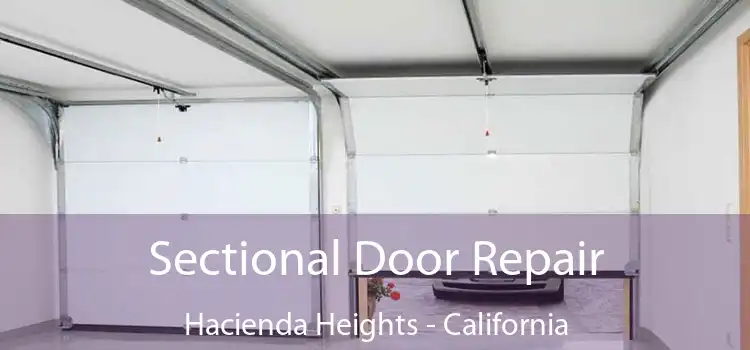 Sectional Door Repair Hacienda Heights - California