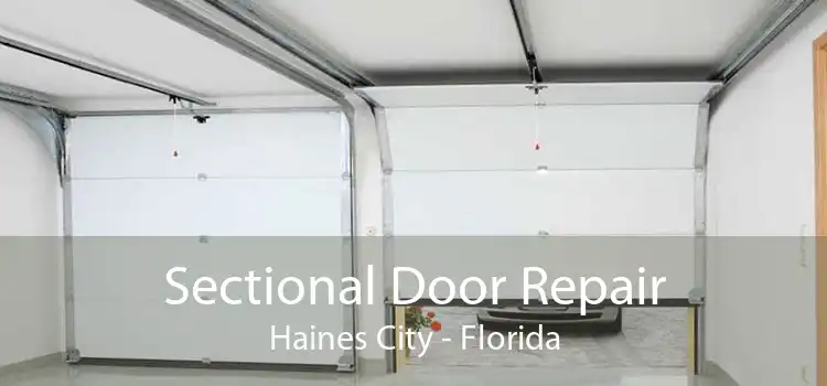 Sectional Door Repair Haines City - Florida