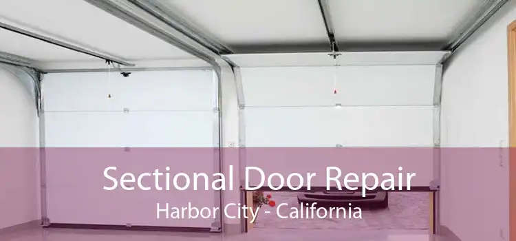 Sectional Door Repair Harbor City - California