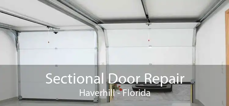 Sectional Door Repair Haverhill - Florida