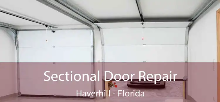 Sectional Door Repair Haverhill - Florida