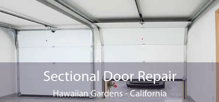 Sectional Door Repair Hawaiian Gardens - California