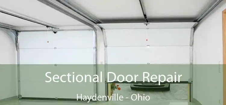 Sectional Door Repair Haydenville - Ohio