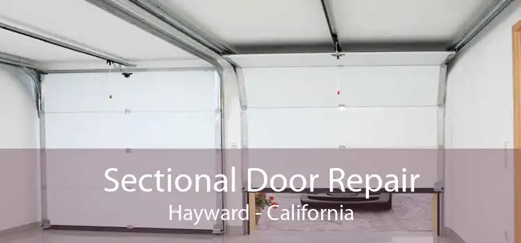 Sectional Door Repair Hayward - California