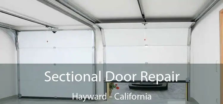 Sectional Door Repair Hayward - California