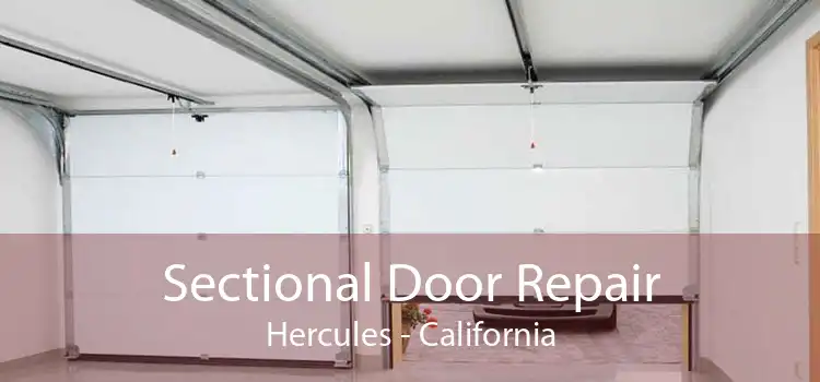 Sectional Door Repair Hercules - California